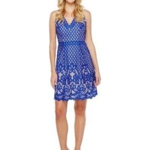 NWT Adrianna Papell Blue Lace Halter Dress!